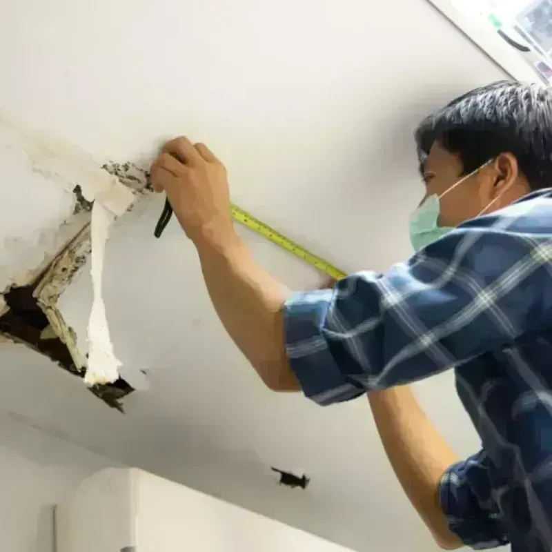 Ceiling And Wall Water Damage in Cape May Court House, NJ